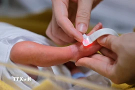Chăm sóc cho trẻ sơ sinh. (Ảnh: TTXVN/Vietnam+)