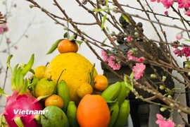 Mâm ngũ quả ngày Tết với nhiều loại quả khác nhau. (Ảnh: PV/Vietnam+)