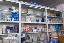 Các đơn vị cần đánh giá khả năng cung ứng của các nhà cung cấp và xây dựng phương án dự trữ phù hợp. (Ảnh: T.G/Vietnam+)