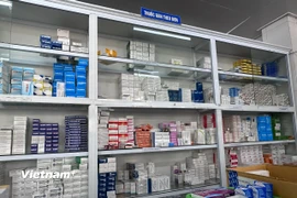 Các đơn vị cần đánh giá khả năng cung ứng của các nhà cung cấp và xây dựng phương án dự trữ phù hợp. (Ảnh: T.G/Vietnam+)