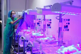 Điều dưỡng chăm sóc trẻ sơ sinh bệnh lý tại Trung tâm sơ sinh (Bệnh viện Phụ sản Trung ương). (Ảnh: Minh Quyết/TTXVN)