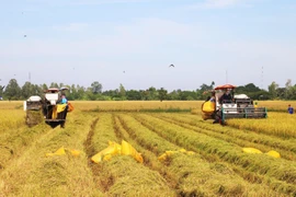 Các chính sách đột phá cùng sự khẩn trương trong triển khai mang lại cho người dân nhiều kỳ vọng về chất lượng cuộc sống mới. (Ảnh: TTXVN/Vietnam+)