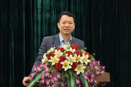 Ông Lê Thanh Dũng, Cục trưởng Cục Dân số (Bộ Y tế) phát. (Ảnh: PV/Vietnam+)