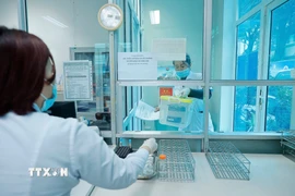 Nhân viên y tế làm công tác xét nghiệm. (Ảnh: Minh Quyết/TTXVN)