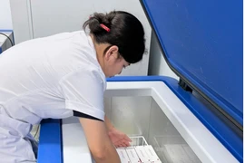 Nhân viên y tế sắp xếp vaccine phòng bệnh dại cho người do WHO hỗ trợ. (Ảnh: PV/Vietnam+)