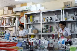 (Ảnh minh họa: TTXVN)