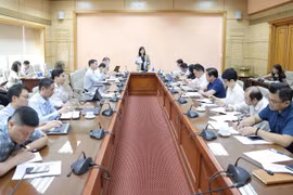 Các đại biểu tham dự cuộc họp. (Ảnh: PV/Vietnam+)