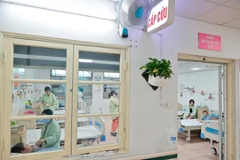 Hà Nội gia tăng trẻ nhập viện do dịch bệnh truyền nhiễm. (Ảnh: Minh Quyết/TTXVN)