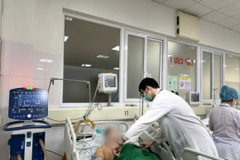 Bác sỹ theo dõi sức khỏe cho trường hợp mắc bệnh dại. (Ảnh: PV/Vietnam+)