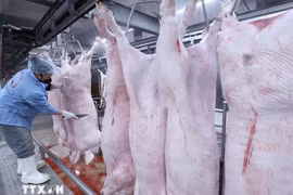 Tăng cường phát hiện, điều tra, xử lý nghiêm các hành vi vi phạm nghiêm trọng về kiểm soát giết mổ động vật làm lây lan dịch bệnh, gây mất an toàn thực phẩm. (Ảnh: TTXVN)