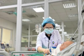 Các bác sỹ chăm sóc và điều trị cho bệnh nhân. (Ảnh: PV/Vietnam+)