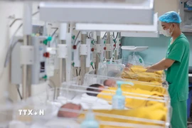 Nhân viên y tế chăm sóc cho trẻ sơ sinh. (Ảnh: Minh Quyết/TTXVN)