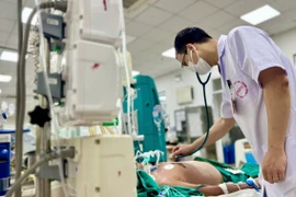 Bác sỹ thăm khám, điều trị cho bệnh nhân. (Ảnh: PV/Vietnam+)