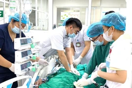 Các bác sỹ cấp cứu ép tim, hồi sức tích cực và sử dụng thuốc vận mạch để duy trì huyết áp cho bệnh nhân. (Ảnh: PV/Vietnam+)