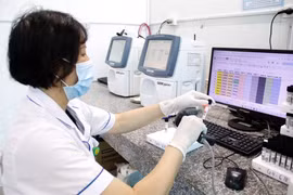 Chuyển đổi số được đẩy mạnh trong ngành y tế. Kỹ thuật viên xét nghiệm quét mã và nhập dữ liệu mẫu máu vào hệ thống, bảo đảm quản lý chính xác. (Ảnh: TTXVN)