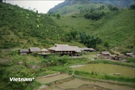 Nếp nhà sàn truyền thống giữa núi rừng. (Ảnh: Trịnh Huyền/Vietnam+)