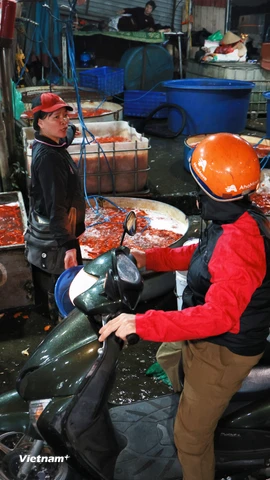 Chợ cá lớn nhất Thủ đô hối hả trong đêm trước ngày ông Công ông Táo