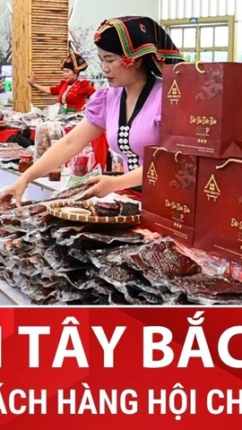 Đặc sản núi rừng Tây Bắc “chinh phục” khách tham quan Hội chợ mùa Xuân 2026