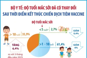 Bộ Y tế: Độ tuổi mắc sởi đã có thay đổi sau khi kết thúc chiến dịch tiêm vaccine
