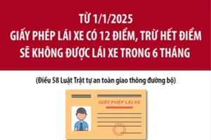 Từ 1/1/2025: Giấy phép lái xe có 12 điểm, hết điểm sẽ không được lái xe 6 tháng