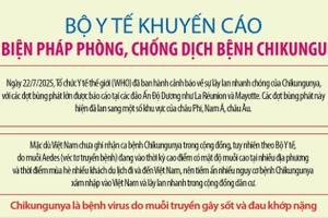 Bộ Y tế khuyến cáo các biện pháp phòng, chống dịch bệnh Chikungunya do muỗi lan truyền