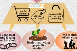 "Tinh hoa bản địa" OCOP và giai đoạn sàng lọc khắt khe hơn