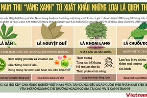 Việt Nam thu “vàng xanh” từ xuất khẩu những loại lá quen thuộc