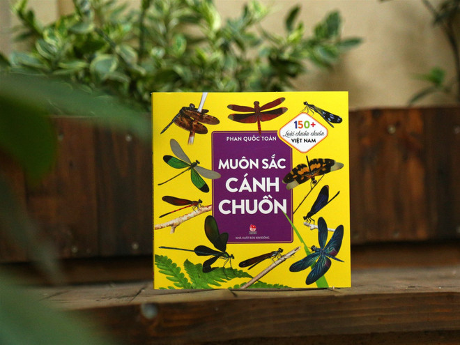 Sách ảnh giới thiệu vẻ đẹp và sự đa dạng của các loài chuồn chuồn ở Việt Nam. (Ảnh: PV/Vietnam+) muon-sac-canh-chuon.jpg