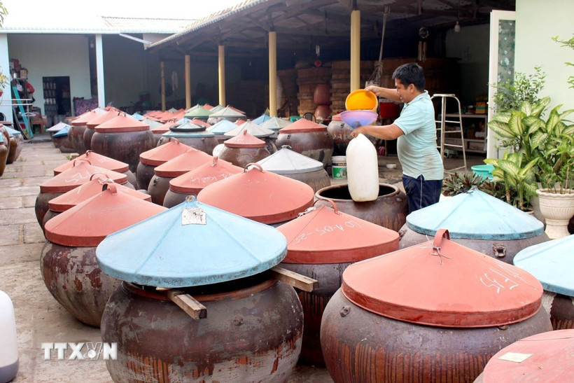 Chượp (hỗn hợp cá tươi và muối được trộn theo tỷ lệ gia truyền) được ủ trong lu đậy kín và phơi ngoài nắng - là phương pháp truyền thống lưu giữ từ trước đến nay. (Ảnh: Hồng Hiếu/TTXVN)
