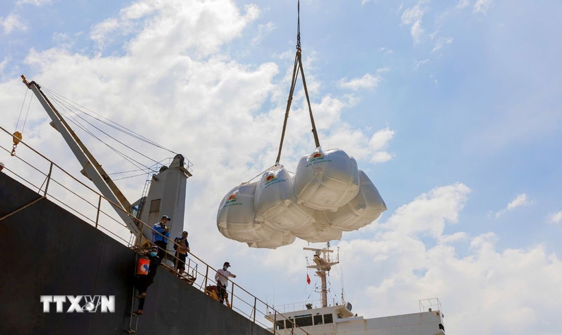 Xuất khẩu gao. (Ảnh: Công Mạo/TTXVN)