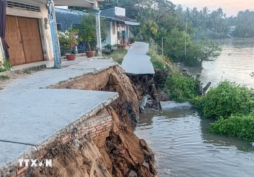 Điểm sạt lở xảy ra tại ấp Phú Tây, nằm ven sông Hậu, có chiều dài 25m, sâu vào đất liền 10m. (Ảnh: Thanh Liêm/TTXVN)