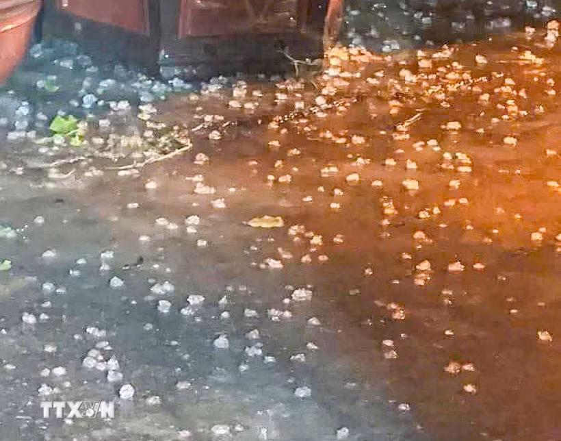 Những viên to như ngón tay cái rơi dày đặc tại Hà Nội. (Ảnh: TTXVN phát)