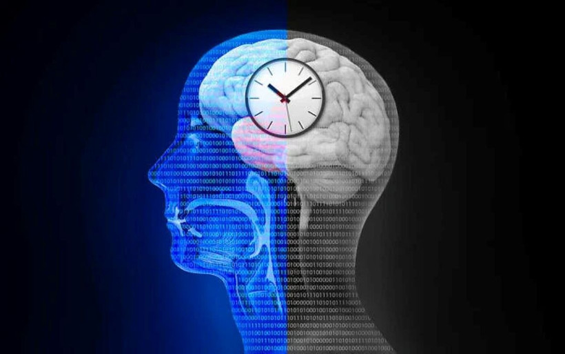 Nhịp sinh học và chu kỳ ngủ-thức bị ảnh hưởng bởi cách việc tiếp xúc với ánh sáng Mặt Trời điều hòa sự tiết melatonin trong não bộ và cơ thể con người. (iStock)