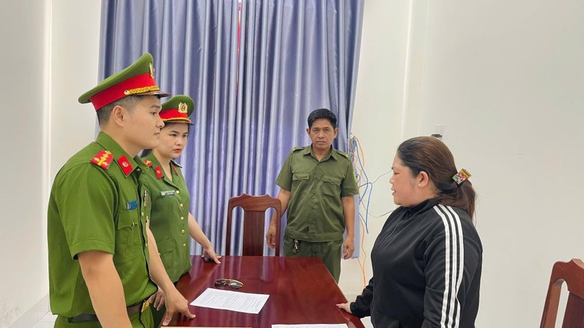 Trần Thị Tuyết Anh bị khởi tố, bắt tạm giam về hành vi trốn thuế. 
