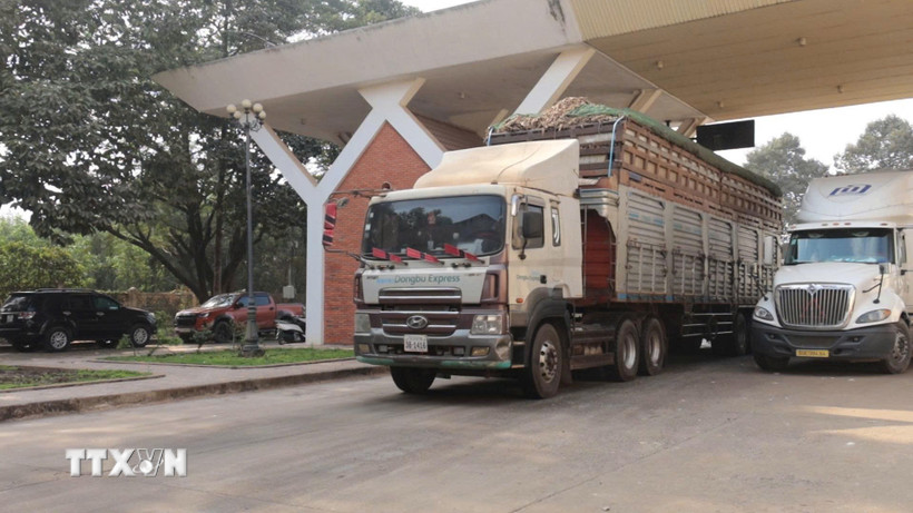 Những đoàn xe chở nông sản đầu tiên đã chính thức được thông quan sau 3 ngày chờ đợi. (Ảnh: Thanh Tân/TTXVN)