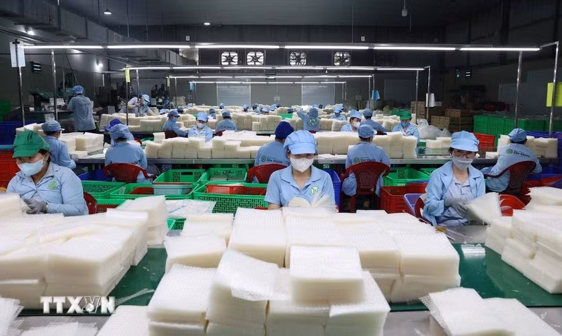 Chính phủ ban hành Nghị định số 181/2026/NĐ-CP ngày 21/5/2026 quy định về quản lý người giữ chức danh, chức vụ và người đại diện phần vốn nhà nước tại doanh nghiệp. (Ảnh minh họa. Nguồn: TTXVN)