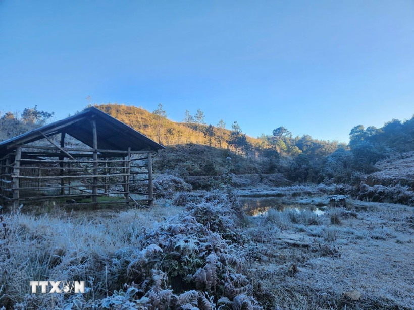 Vùng núi cao cần đề phòng xảy ra băng giá. (Ảnh: Hương Thu/TTXVN)