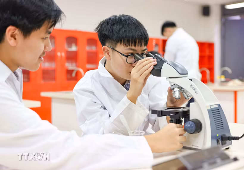 Quỹ hỗ trợ người học trong học tập, nghiên cứu, đổi mới sáng tạo, khởi nghiệp. (Ảnh minh họa: