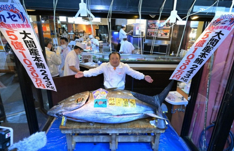 Một con cá ngừ vây xanh đã được bán với giá kỷ lục 510,3 triệu yen (khoảng 3,2 triệu USD). (Nguồn: Mainichi)