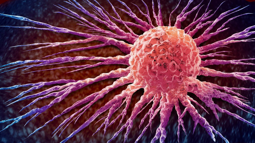 Ảnh minh họa. (Nguồn Shutterstock)