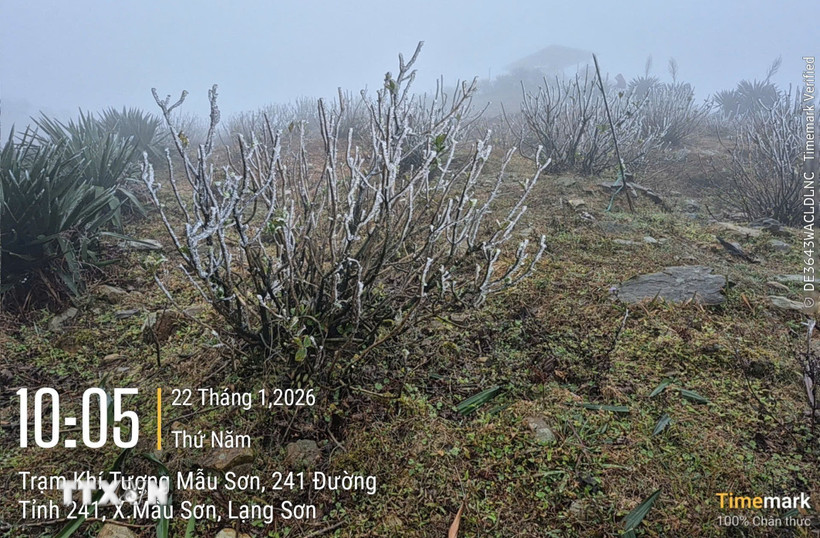 Tại Mẫu Sơn nhiệt độ thấp nhất là 2-4 độ. (Ảnh: TTXVN phát)