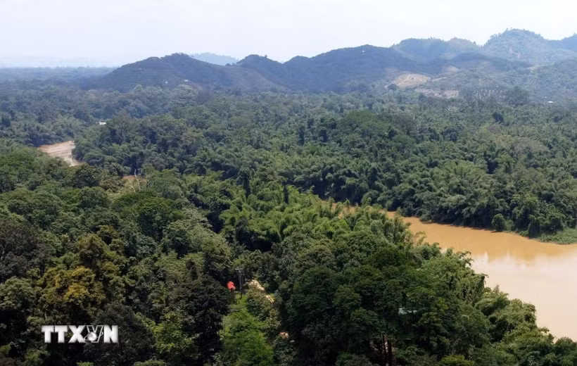 Chuyển giao Vườn quốc gia Cát Tiên về Ủy ban Nhân dân thành phố Đồng Nai quản lý. (Ảnh minh họa: Sỹ Tuyên/TTXVN)