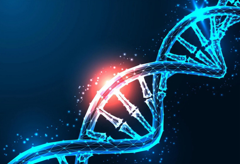 Nhờ ứng dụng công nghệ chỉnh sửa gene CRISPR, các tế bào miễn dịch có thể được biến đổi để tiêu diệt tế bào khối u hiệu quả hơn. (Nguồn: Shutterstock)