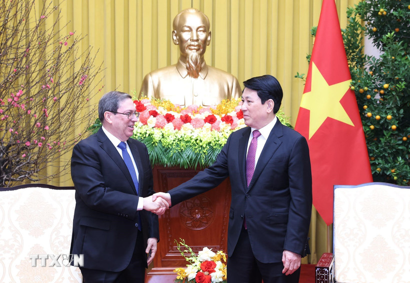 Chủ tịch nước Lương Cường tiếp Đặc phái viên Đảng Cộng sản Cuba, Nhà nước Cộng hòa Cuba, Ủy viên Bộ Chính trị, Bộ trưởng Ngoại giao Cuba Bruno Rodríguez Parrilla. (Ảnh: Lâm Khánh/TTXVN)