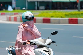 Ảnh minh họa. (Nguồn: Vietnam+)