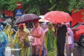 Hà Nội có mưa rào. (Ảnh: Hoài Nam/Vietnam+)
