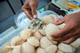 Mục sở thị quy trình biến tổ yến thô thành “vàng trắng” tại thủ phủ yến An Giang 