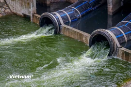 Sông Tô Lịch đổi màu xanh trong sau khi được bổ cập nước từ Hồ Tây