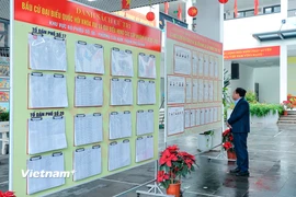Công tác lập và niêm yết danh sách cử tri, danh sách người ứng cử, chuẩn bị cơ sở vật chất, phương án bảo đảm an ninh trật tự… đang được triển khai đúng tiến độ. (Ảnh: Hoài Nam/Vietnam+)