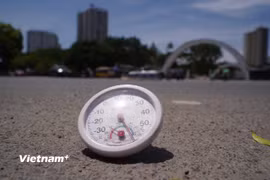 (Nguồn: Vietnam+)